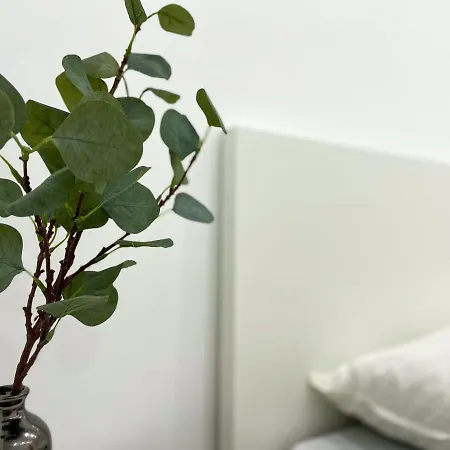 아파트 Schoenes Maifeld